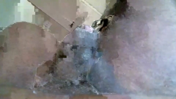 Fatbbc_Thickcock  11-09-2021 video ultrahd